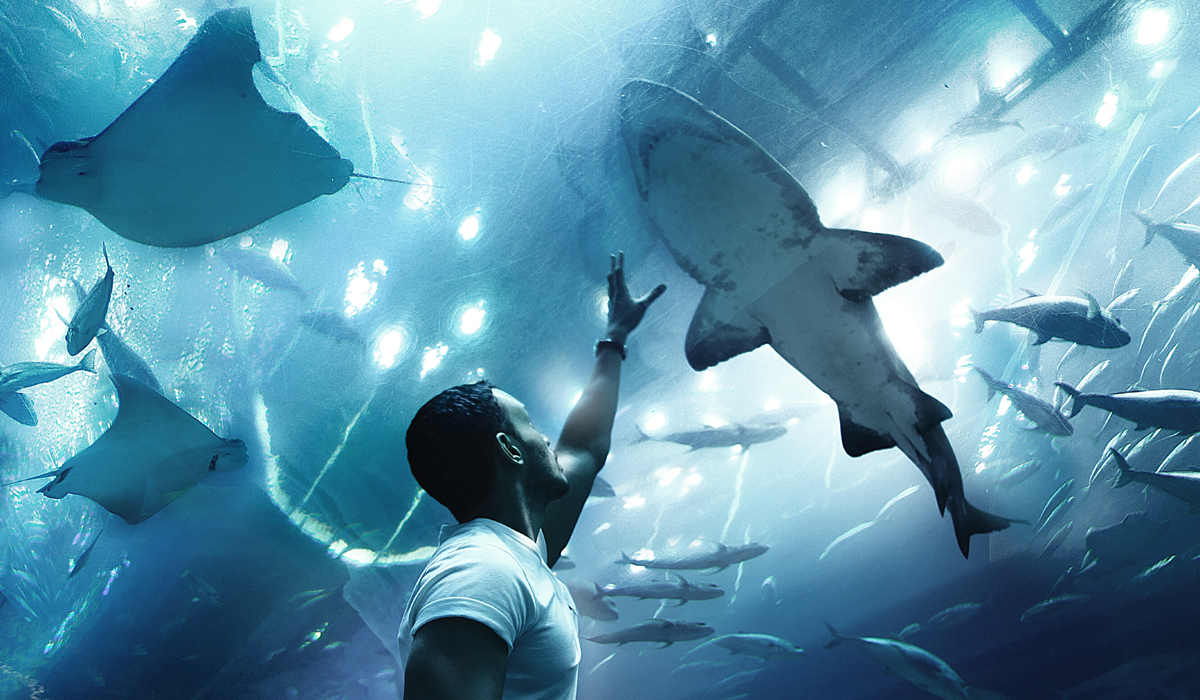 Dubai Aquarium